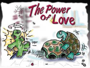 funny-turtle-cartoon-power-of-love.jpg